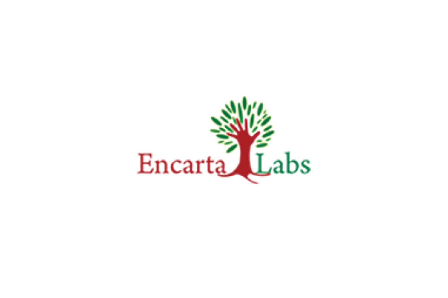 🏆 Encarta Labs